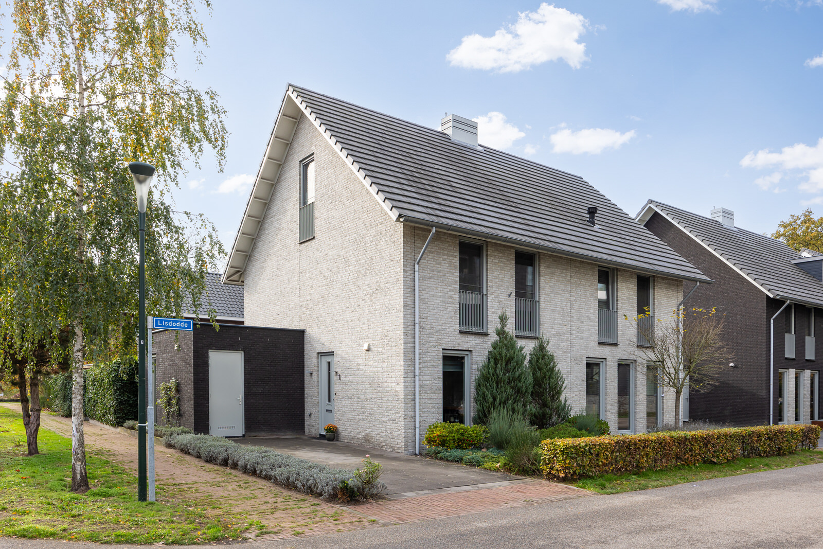 BL100198-21663-Lisdodde-1,-Boxtel-253325124
