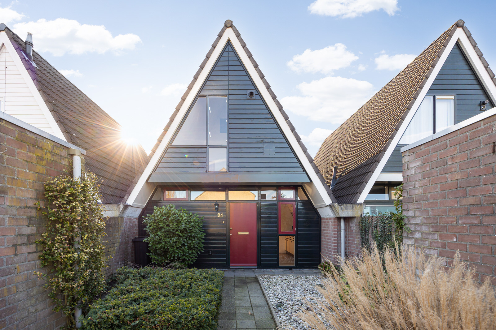 BL100289-22677-266079638